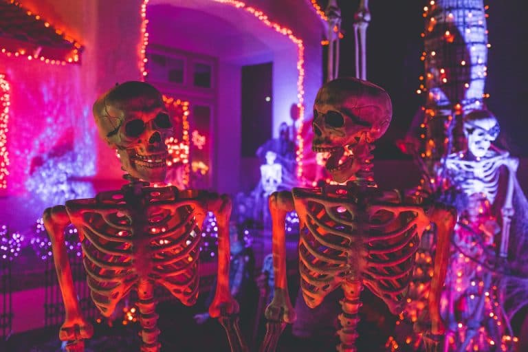 Cover Image for Halloween Spookfest